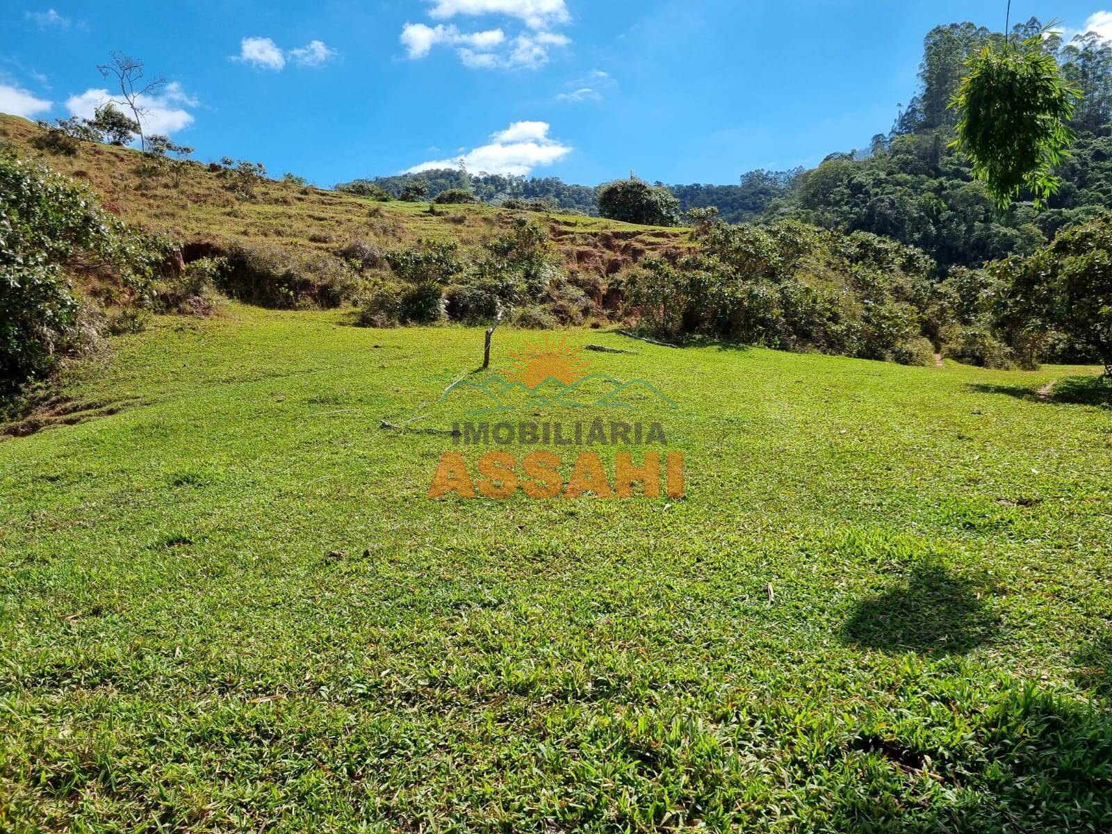 Terreno, 266 hectares - Foto 25