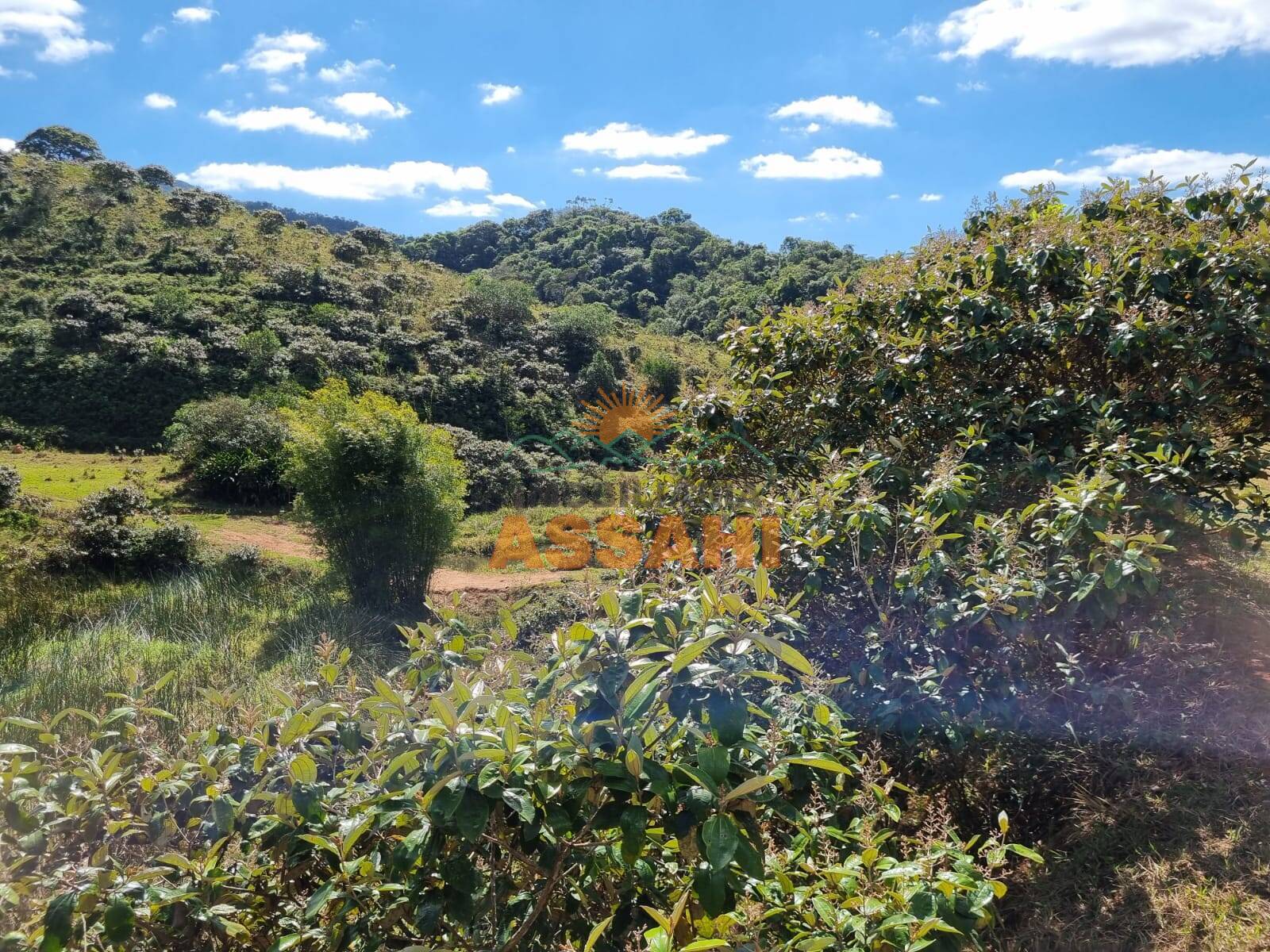 Terreno, 266 hectares - Foto 22