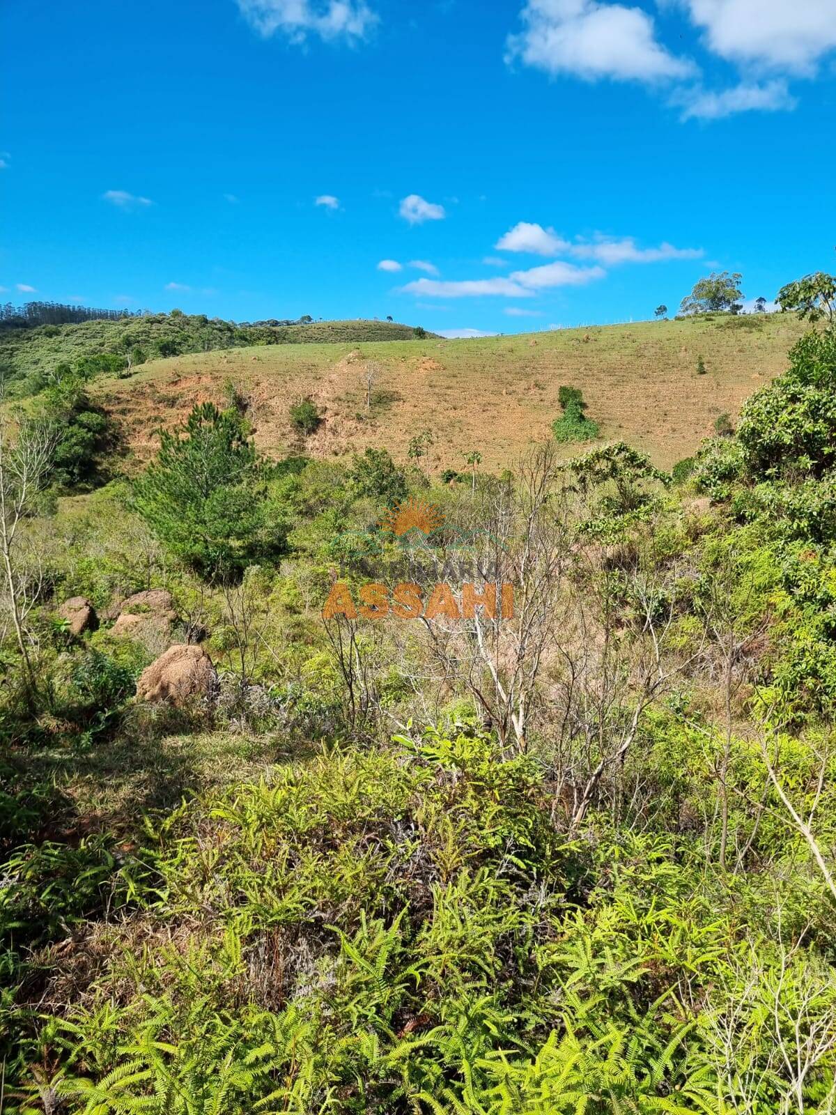 Terreno, 266 hectares - Foto 20