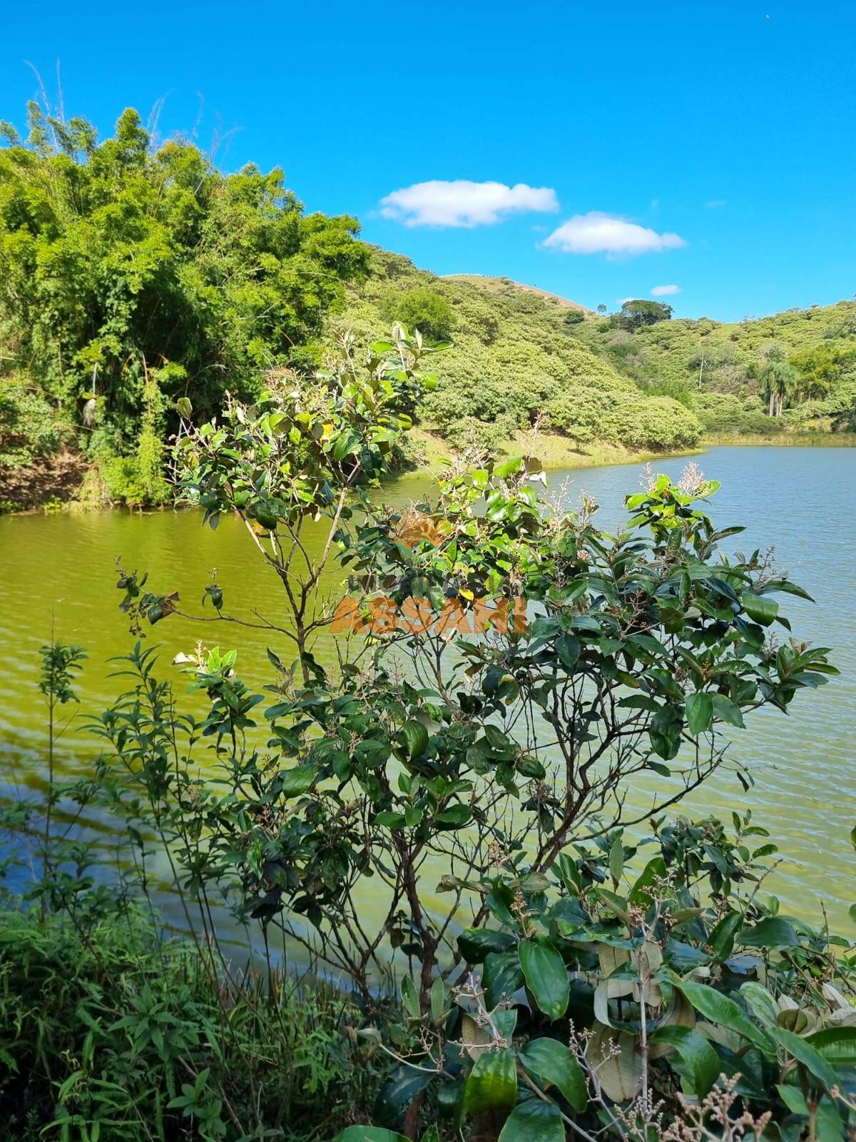 Terreno, 266 hectares - Foto 7