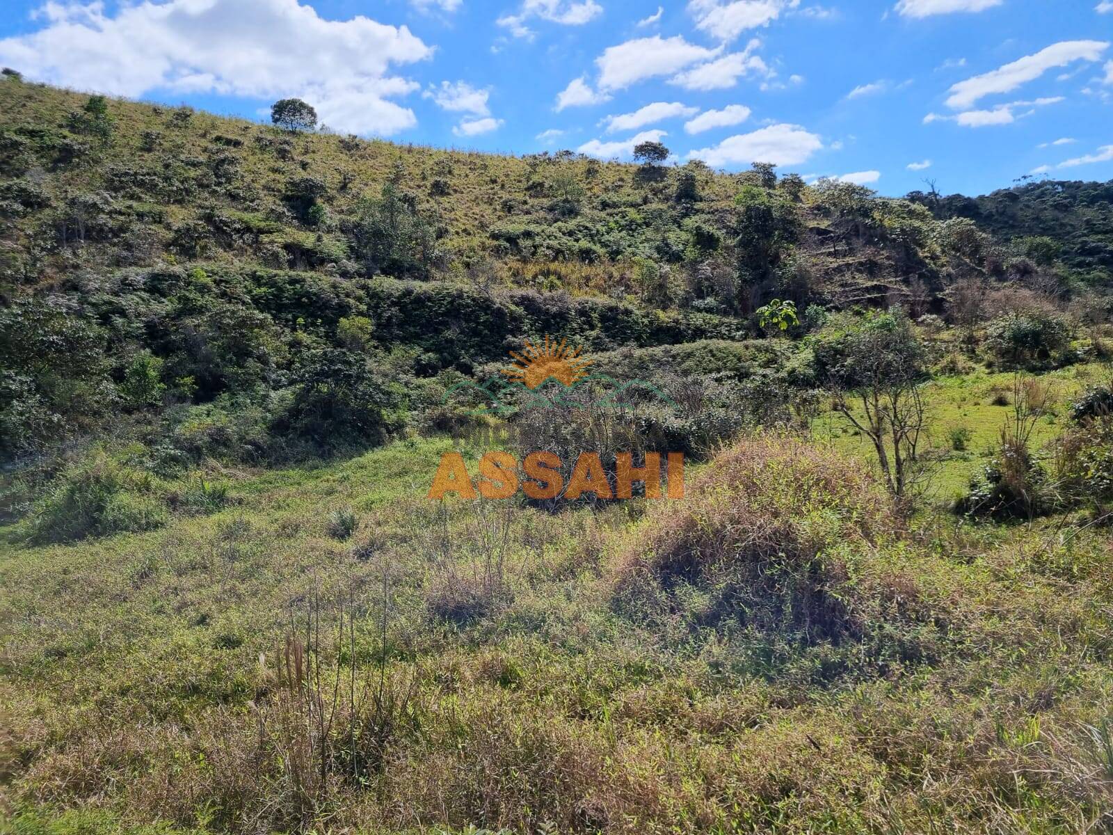 Terreno, 266 hectares - Foto 6