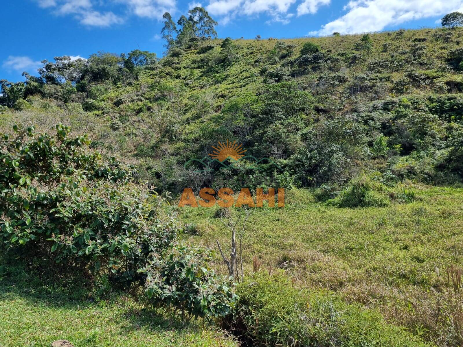 Terreno, 266 hectares - Foto 5