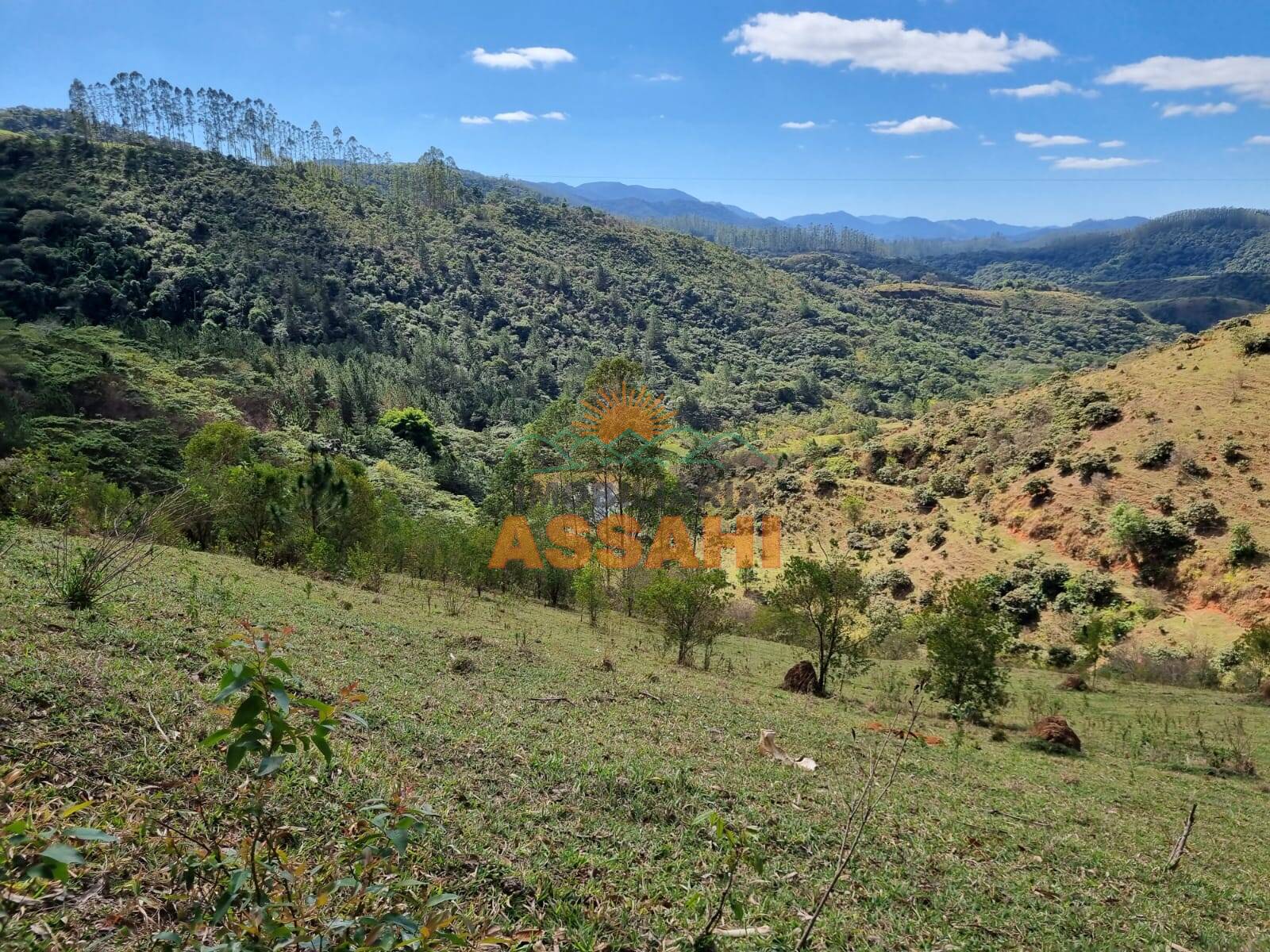Terreno, 266 hectares - Foto 4