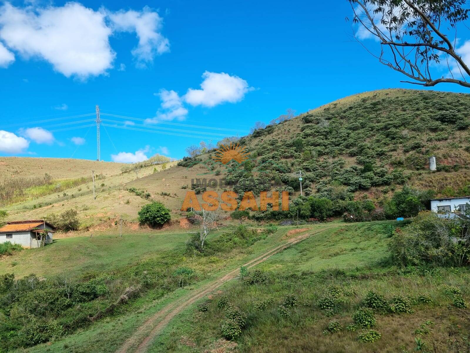 Terreno, 266 hectares - Foto 19