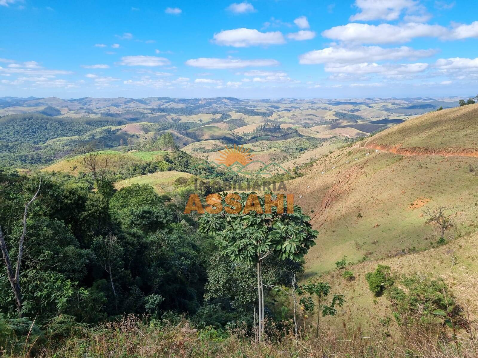 Terreno, 266 hectares - Foto 14