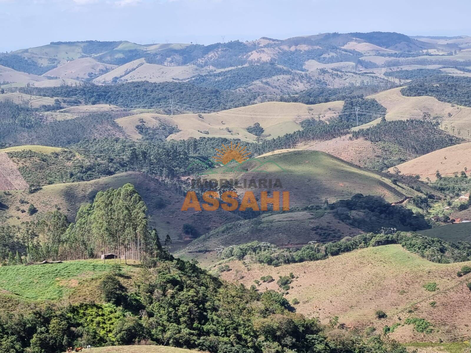 Terreno, 266 hectares - Foto 1