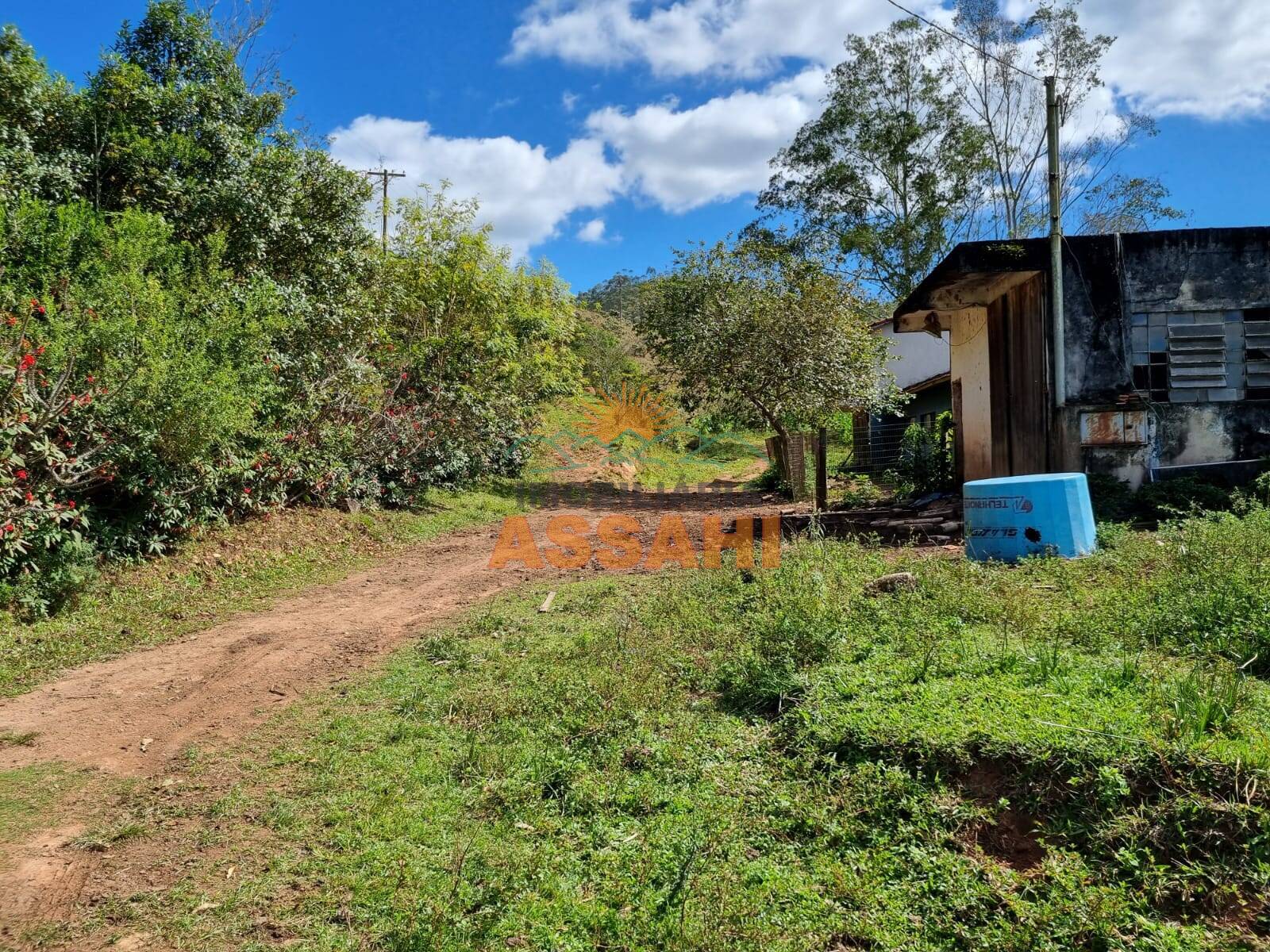 Terreno, 266 hectares - Foto 13