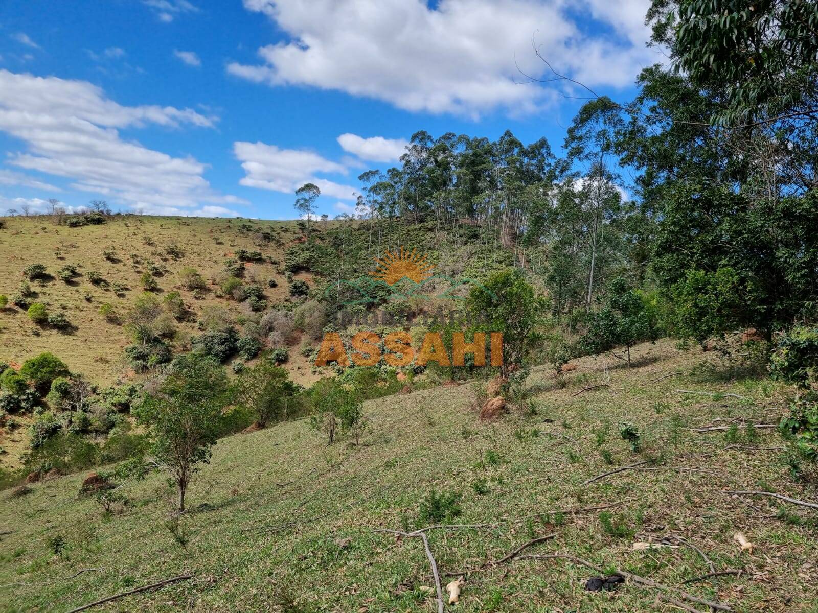 Terreno, 266 hectares - Foto 11